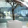 Innoptec