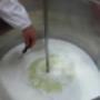 Caseificio e Az. Agricola "Moretto"