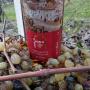 Dettaglio etichetta vino