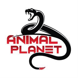 Animal Planet