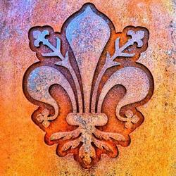 Imbiancature  e Cartongesso Girasole