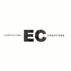 EC Creations