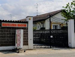 Macchi Bruno Il Figlio del Contadino Macelleria