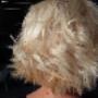 Gallery Professionale