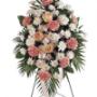 Cuscino Rose
