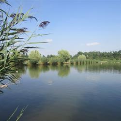 Trattoria Lago Segugio