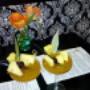 Pantarei Immagine Gallery 4