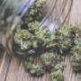 Marjuana Legale