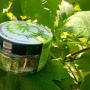 Canapa Sativa