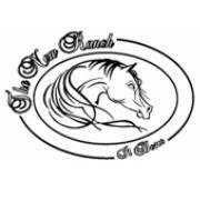 The New Ranch