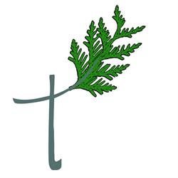 Ambulatorio Veterinario Thuja