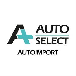 AUTOIMPORT DIVISIONE USATO