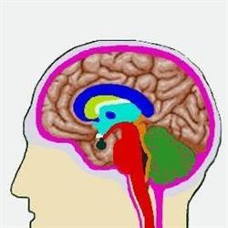 Polo Neurologico Brianteo