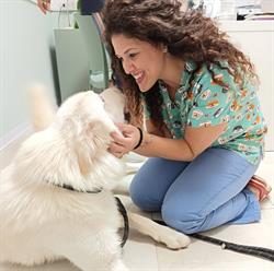 Ambulatorio Veterinario Dott.ssa Micca