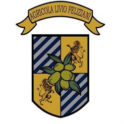 FELIZIANI LIVIO
