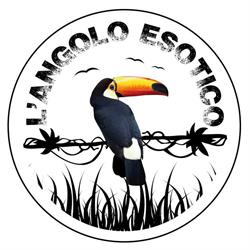 L'Angolo Esotico