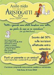 Asilo Nido Gli Aristogatti