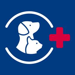 Ambulatorio Veterinario Casaletto