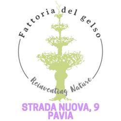 Fattoria del Gelso