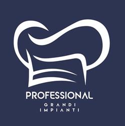 Professional Grandi Impianti   Snc