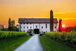 Verdenoce Bio Agriturismo