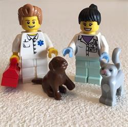 Vetzibido | Ambulatorio Veterinario