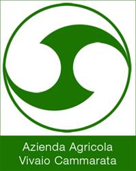 Azienda Agricola Vivaio Cammarata