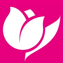 IL TULIPANO
