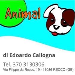 Animal Planet di Edoardo Caliogna