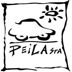 Peila SPA - rivenditore autorizzato Ford e Nissan