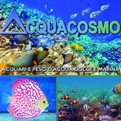 ACQUACOSMO S.A.S. DI LIBRALATO MAURIZIO & C.