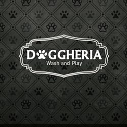 DOGGHERIA SOCIETA' A RESPONSABILITA' LIMITATA SEMPLIFICATA
