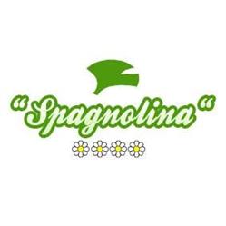 Spagnolina