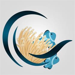 CLOWNFISHES