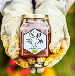 AZIENDA AGRIAPISTICA BIO MIELINFIORE DI ANDREA ROSSI