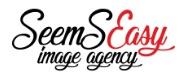 seems easy web agency