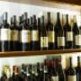 Gallery Professionale