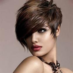 LE MONDE DES CHEVEUX