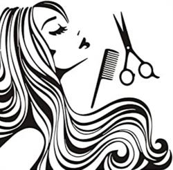 New Trasformation Di Barone Grazia