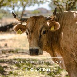Agriturismo, Agripizzeria e Agrigelateria Il Giardino dei Sapori