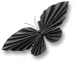 Mariposa