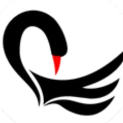 Il cigno nero