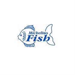 Michelino Fish