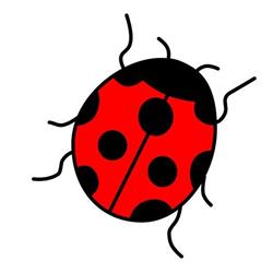 La Coccinella