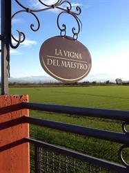 La Vigna Del Maestro