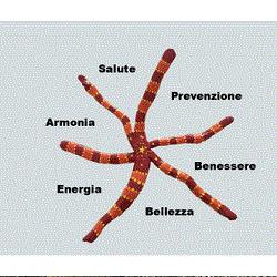 Demichelis D.ssa Patrizia Dermatologa - Vercelli