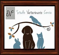 Studio Veterinario Cervia