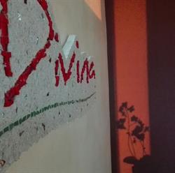 Estetica Divina