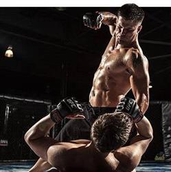 Iron Dragon Team M.M.A. Personal Training SPORT DA COMBATTIMENTO