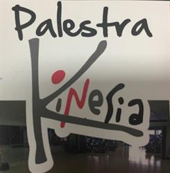 Palestra Kinesia